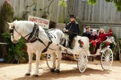 Christmas In Washington (2021) (Weihnachts-Collection) -FUNKO || SUPER7 || Eurographics 17863057 3 92