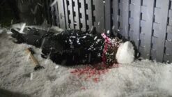 Black Christmas (2006) (R-Rated Version, Kinofassung, Uncut, Unrated, 3 Blu-rays) 13 Black Christmas (2006) (R-Rated Version, Kinofassung, Uncut, Unrated, 3 Blu-rays) -FUNKO || SUPER7 || Eurographics 17932813 5 92